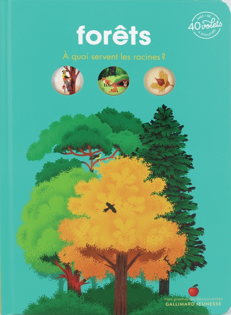 [9782075197809] Forêts