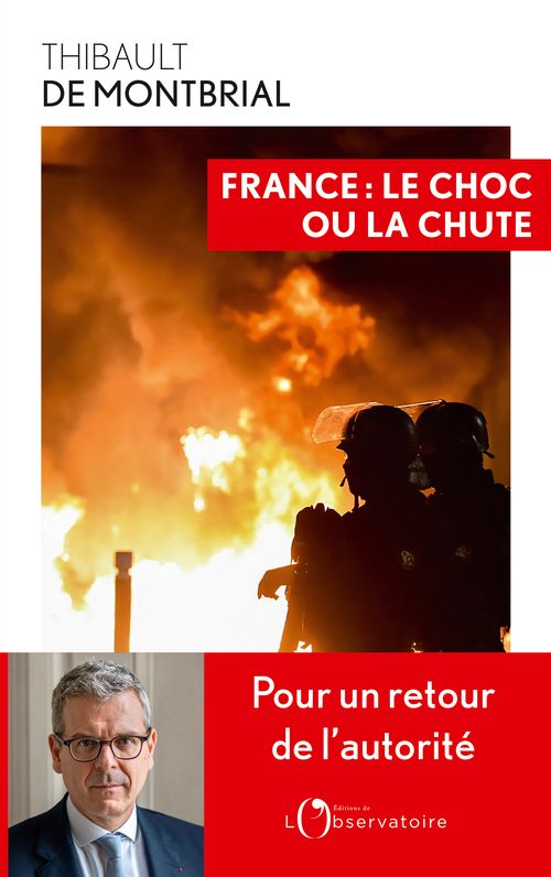 [9791032929360] France : le choc ou la chute