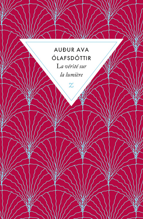[9791038703766] La vérité sur la lumière