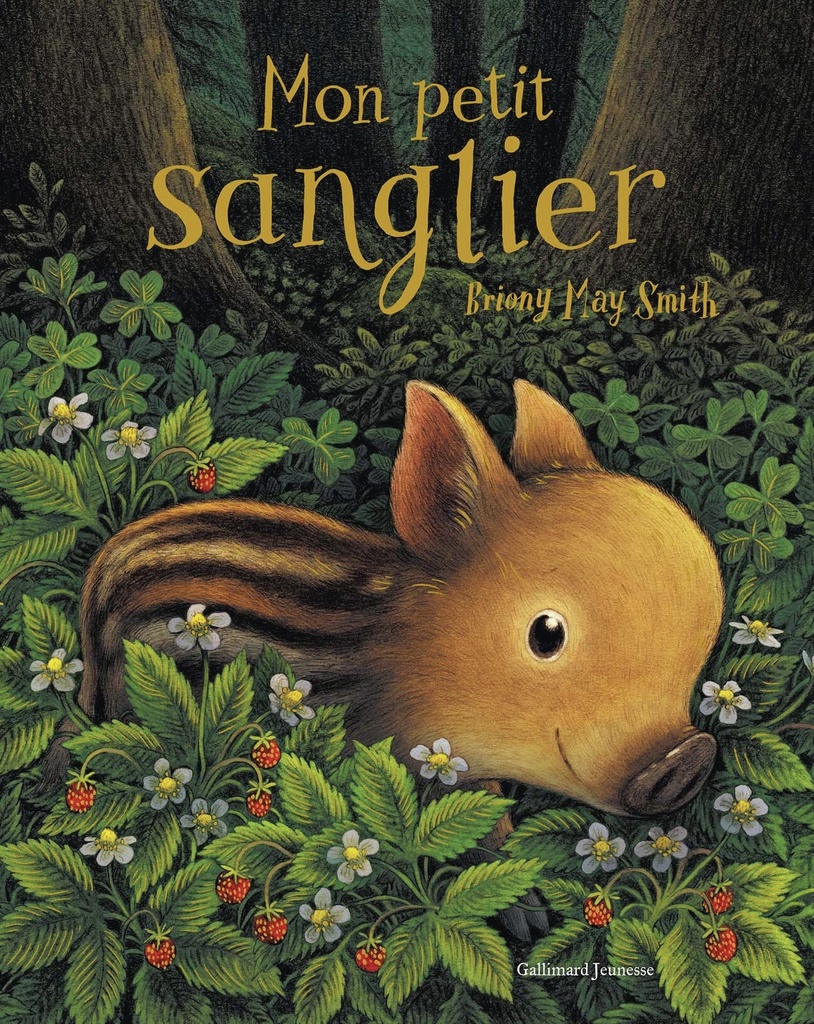 [9782075228725] Mon petit sanglier