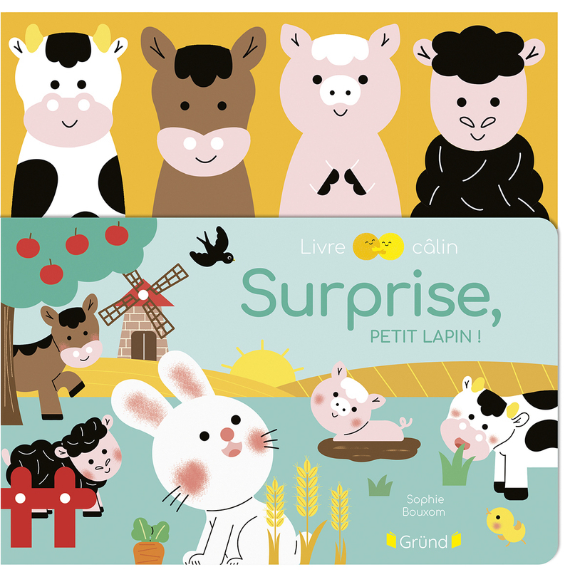[9782324036903] Surprise, petit lapin !