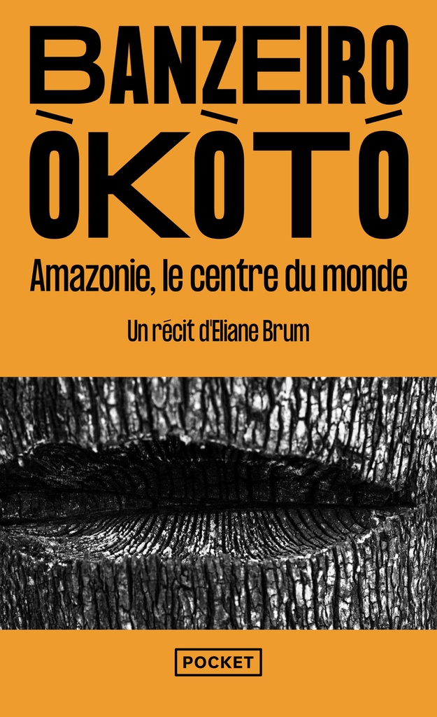 [9782266353168] Banzeiro Òkòtó - Amazonie, le centre du monde