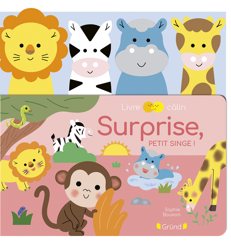 [9782324036910] Surprise, petit singe !