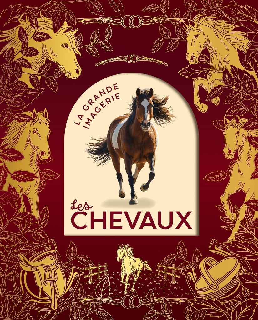 [9782215198031] Les chevaux
