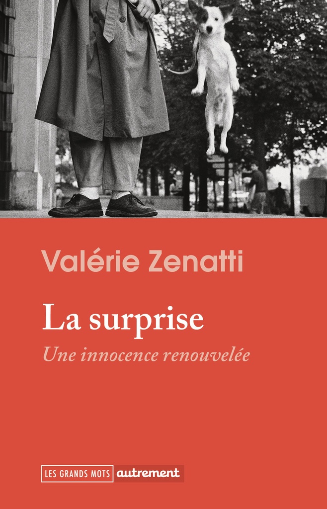 [9782080480989] La surprise