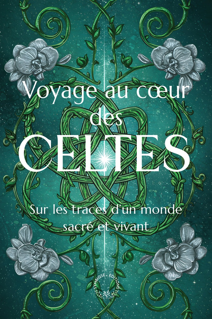 [9782359020885] Voyage au coeur des Celtes