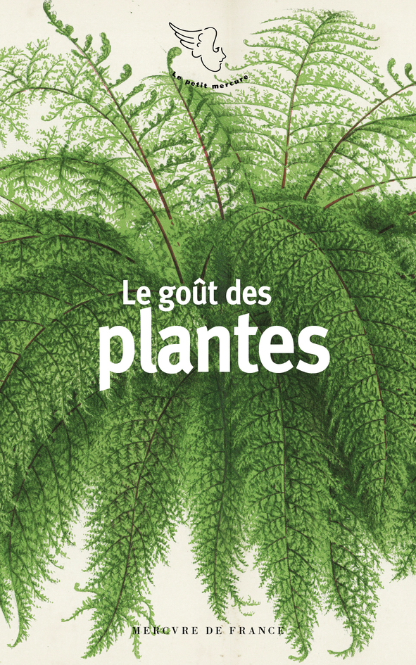 [9782715266070] Le goût des plantes