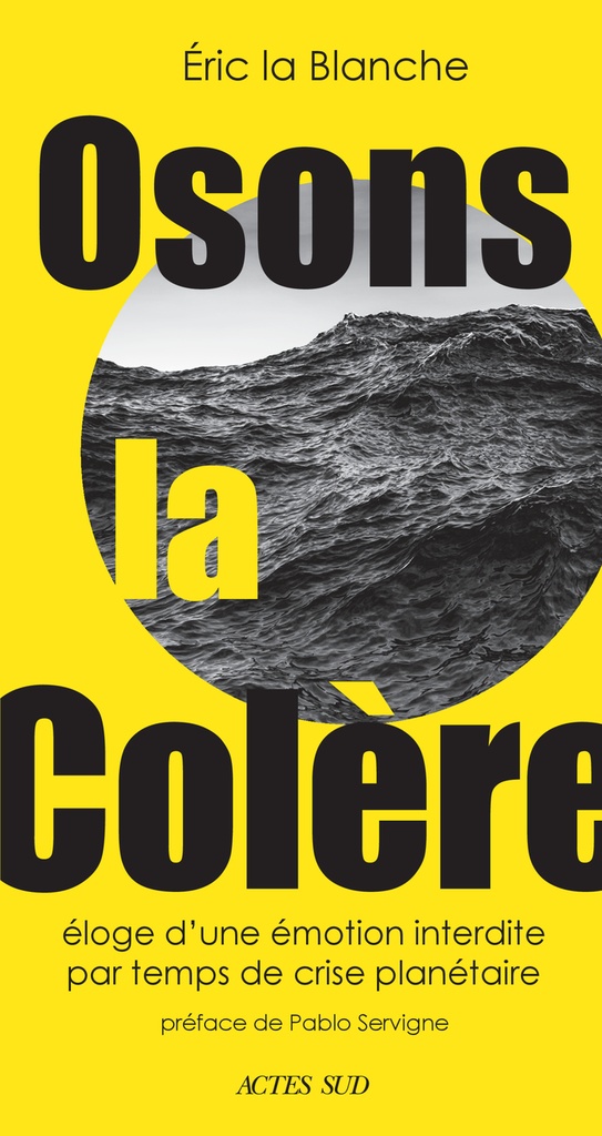 [9782330207083] Osons la colère