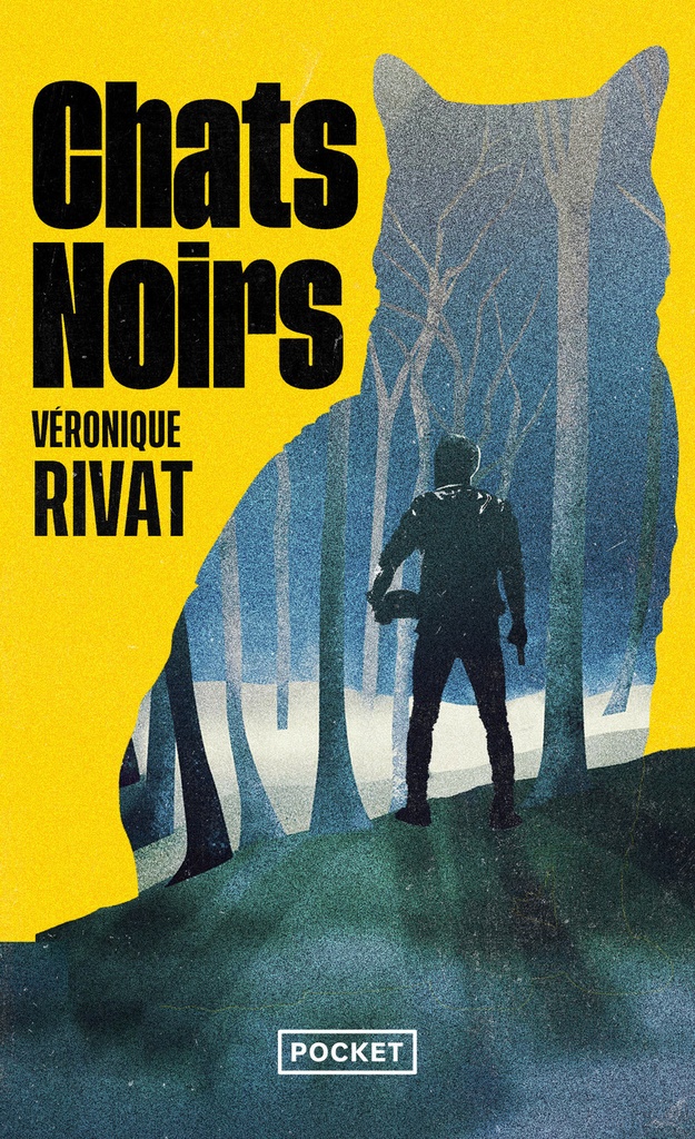 [9782266356893] Chats noirs