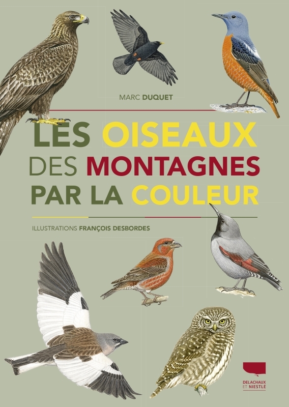 [9782603032152] Les Oiseaux des montagnes par la couleur