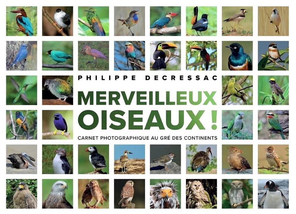 [9782753305526] Merveilleux oiseaux !