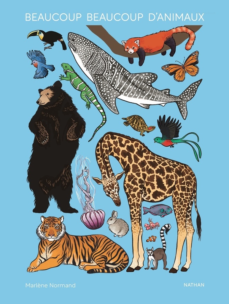 [9782095026684] Beaucoup beaucoup d'animaux