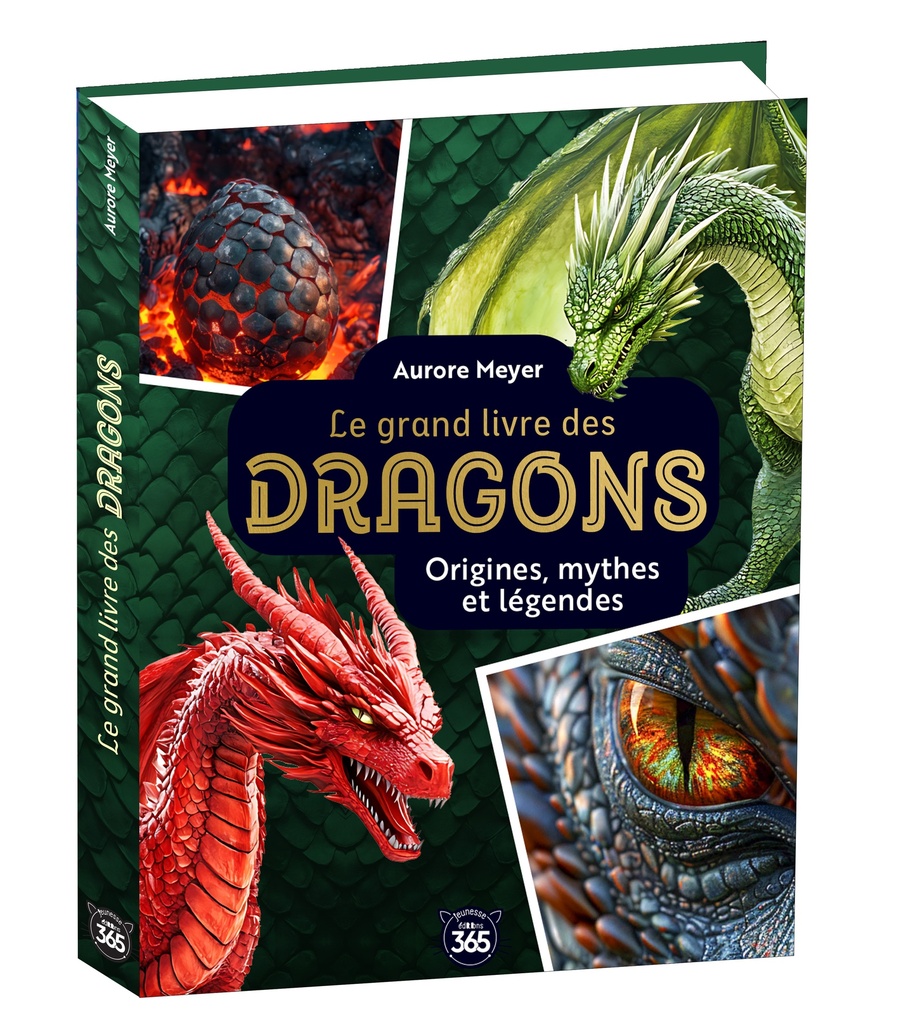 [9782383826569] Mon grand livre des dragons