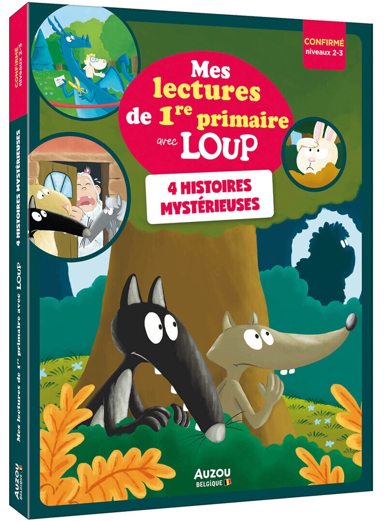 [9791039565264] Quatre histoires mystérieuses - Niveau confirmé