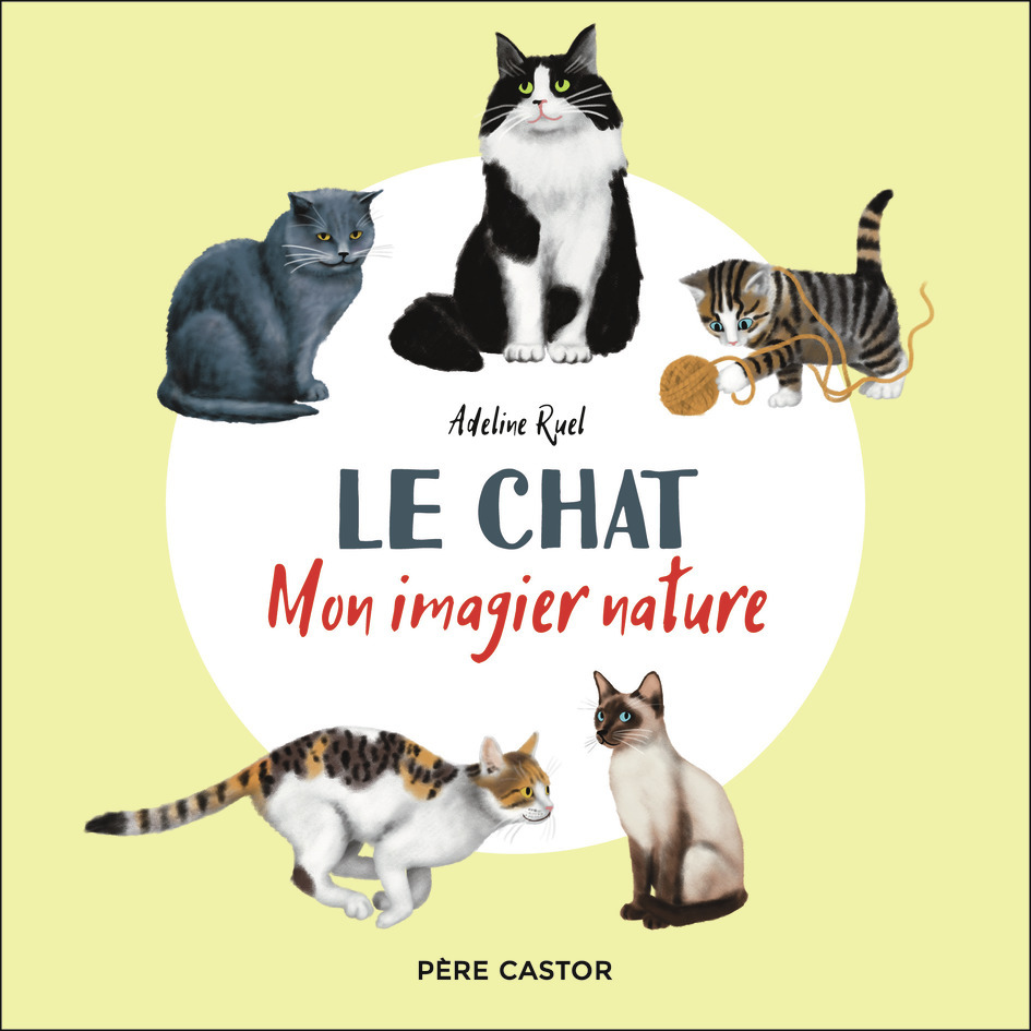[9782080467867] Le chat