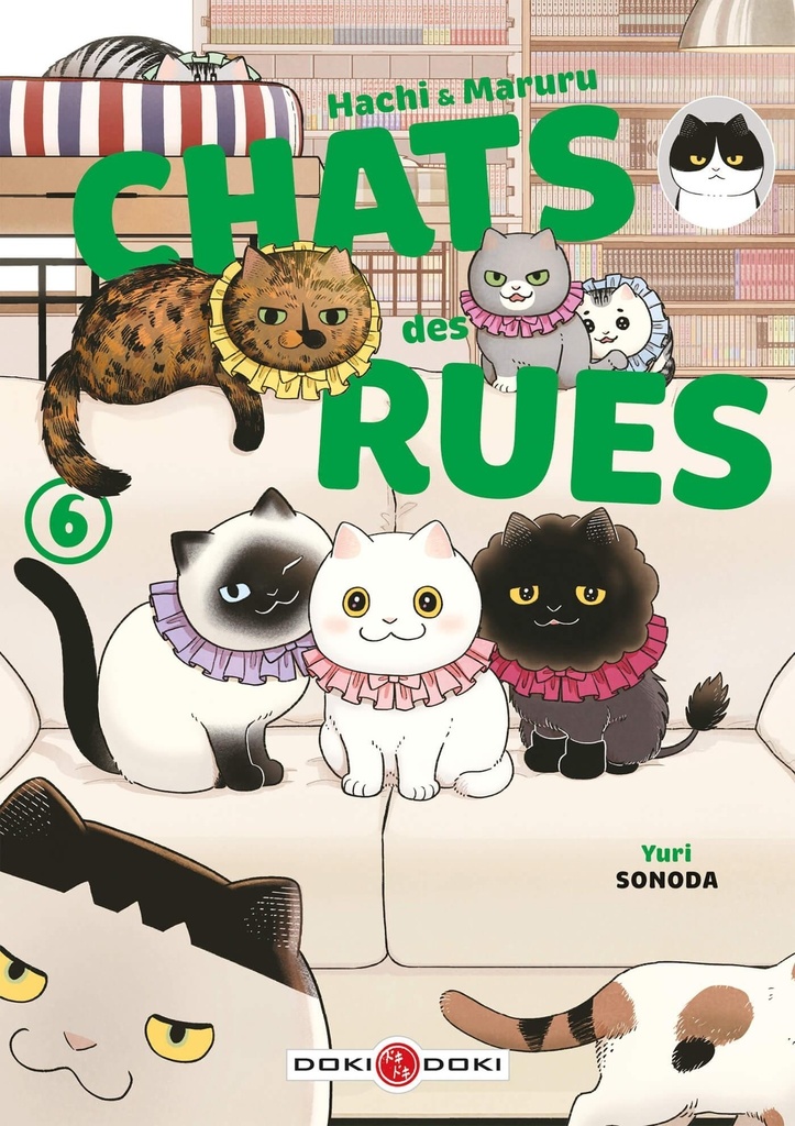 [9791041113408] Hachi & Maruru - Chats des rues - vol. 06