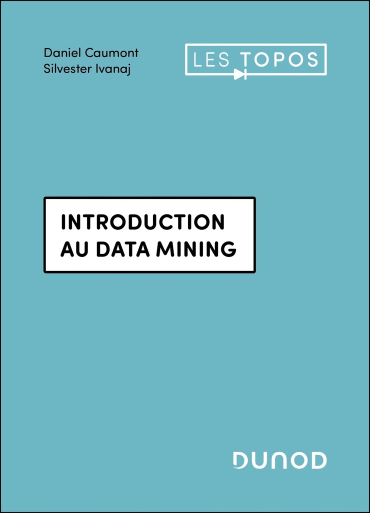 [9782100880348] Introduction au data mining