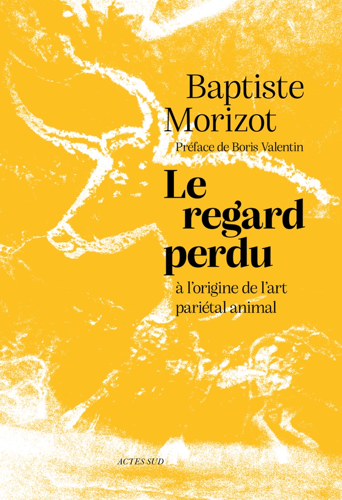 [9782330214012] Le regard perdu