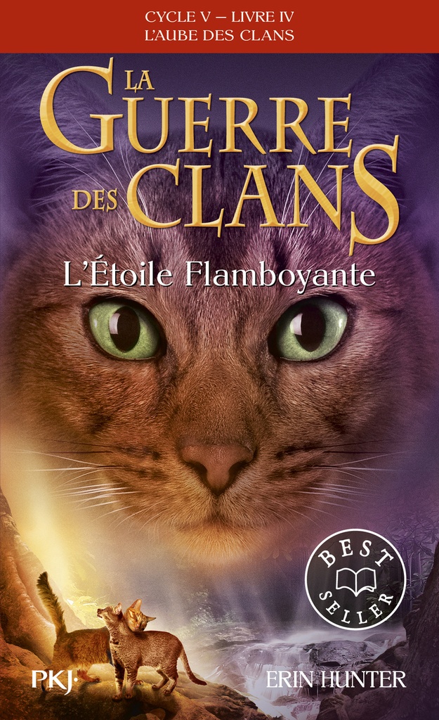 [9782266345385] La guerre des clans - Cycle V : L'aube des clans - Tome 4 L'Etoile flamboyante