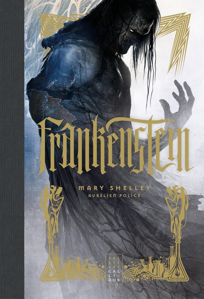 [9782901207306] Frankenstein