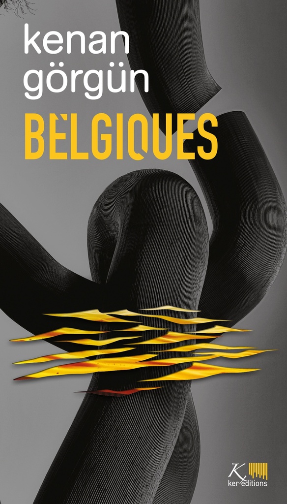 [9782875865076] Belgiques