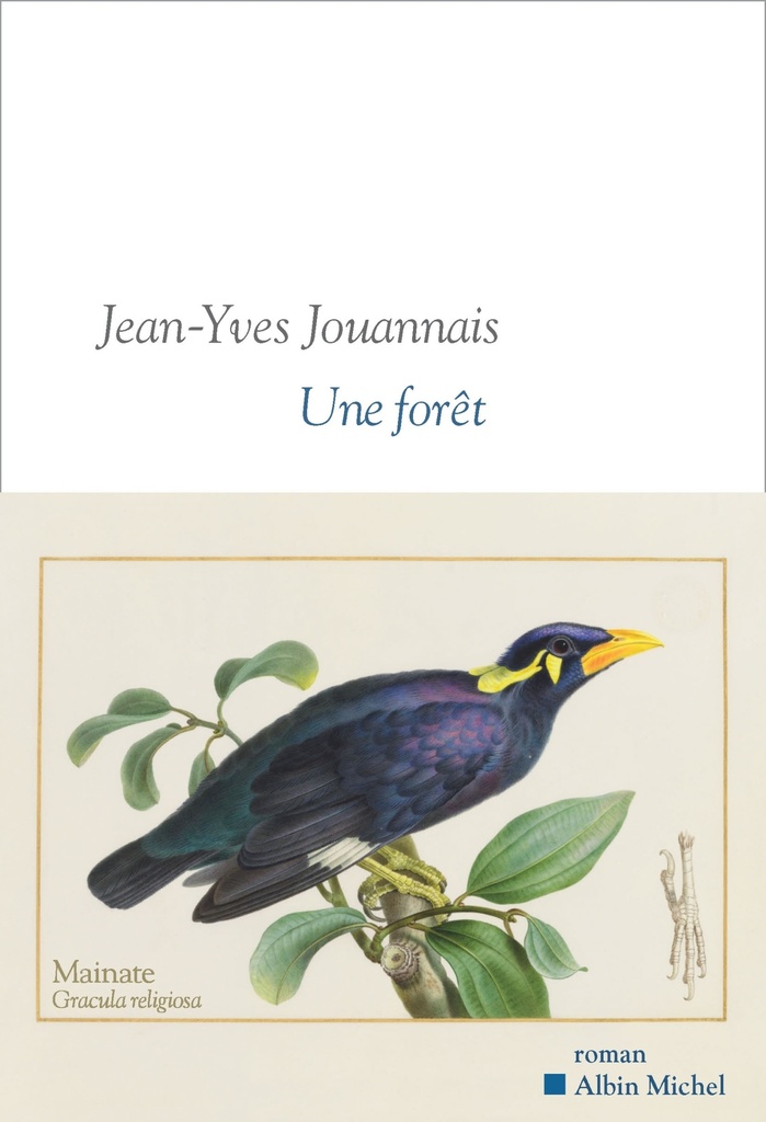 [9782226499523] Une forêt