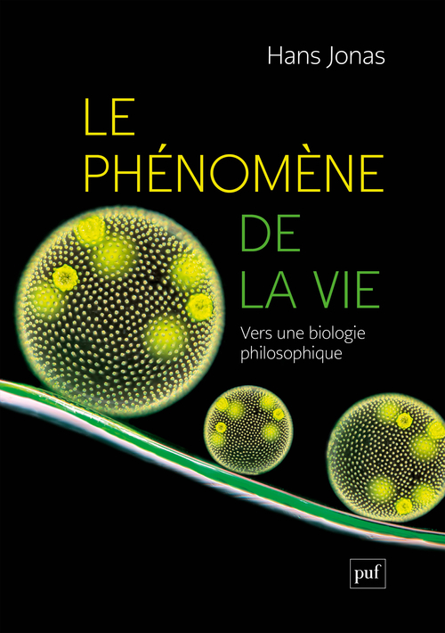 [9782130883234] Le phénomène de la vie