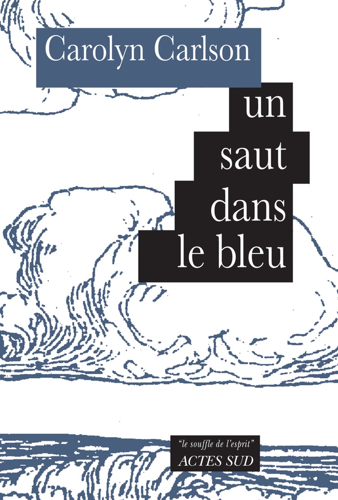 [9782330195823] un saut dans le bleu