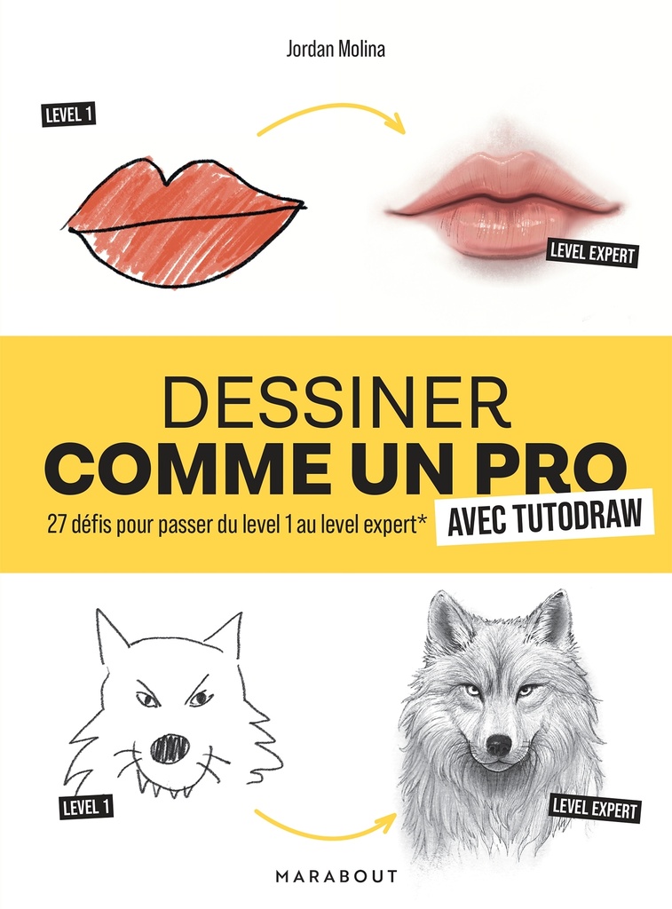 [9782501194211] Dessiner comme un pro avec Tutodraw