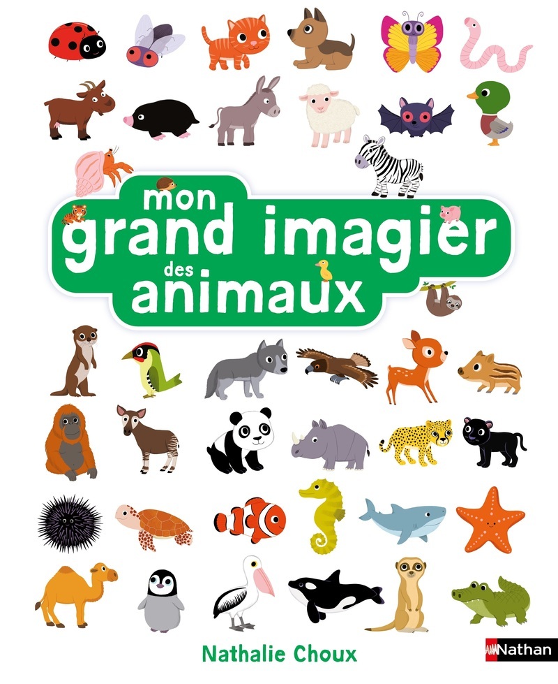 [9782095046033] Mon grand imagier des animaux
