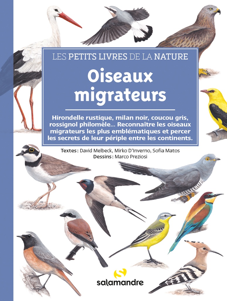 [9782889586080] Oiseaux migrateurs