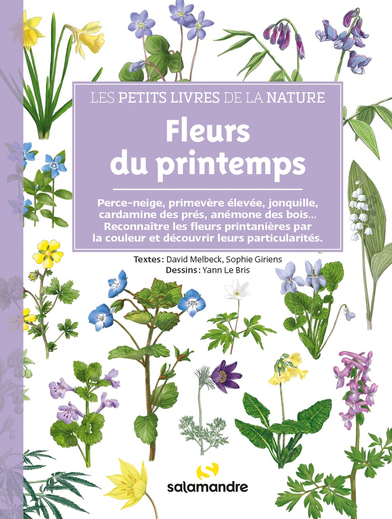 [9782889586073] Fleurs du printemps