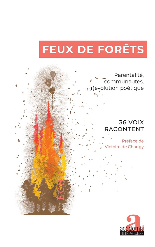 [9782806139405] Feux de forêts