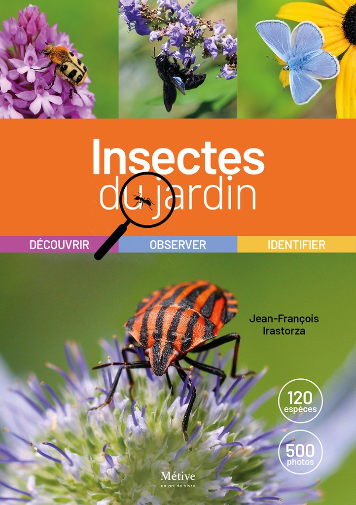 [9782371092228] Les insectes du jardin