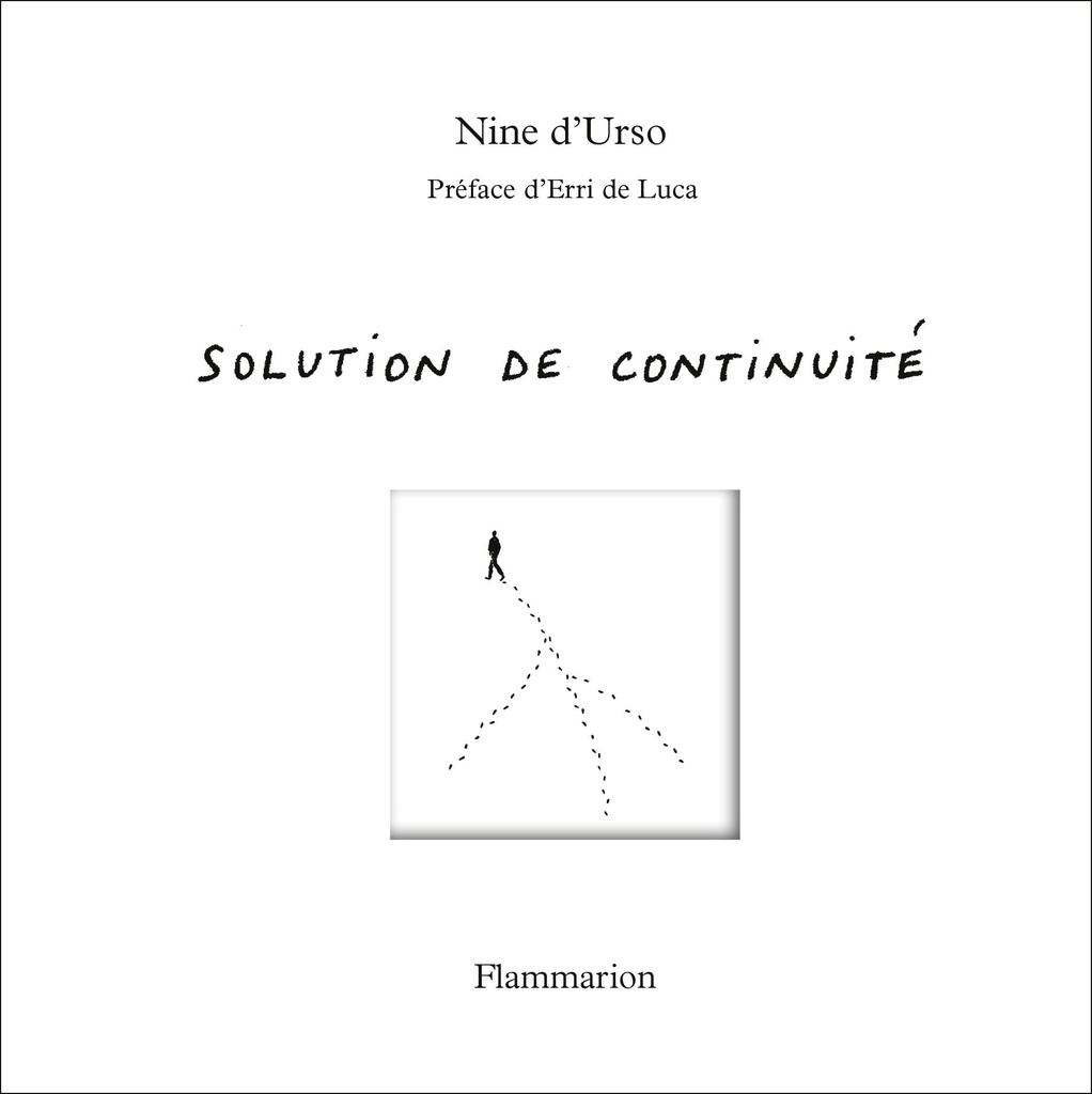 [9782080144164] Solution de continuité