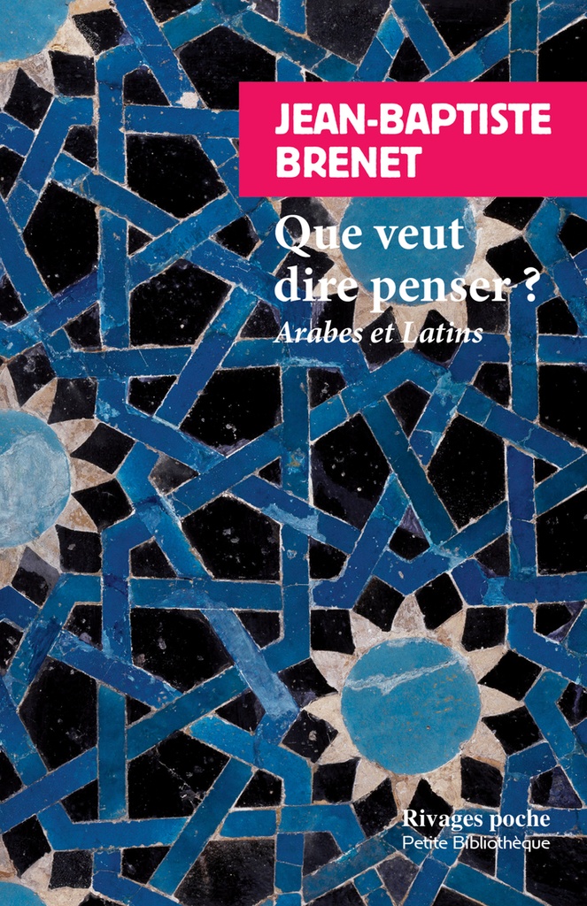 [9782743668563] Que veut dire penser ?