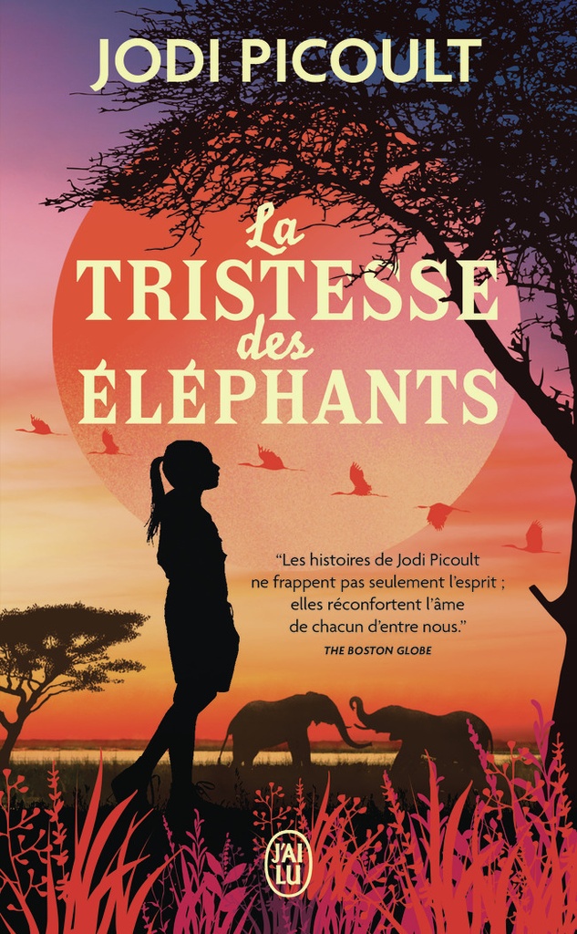 [9782290432570] La tristesse des éléphants