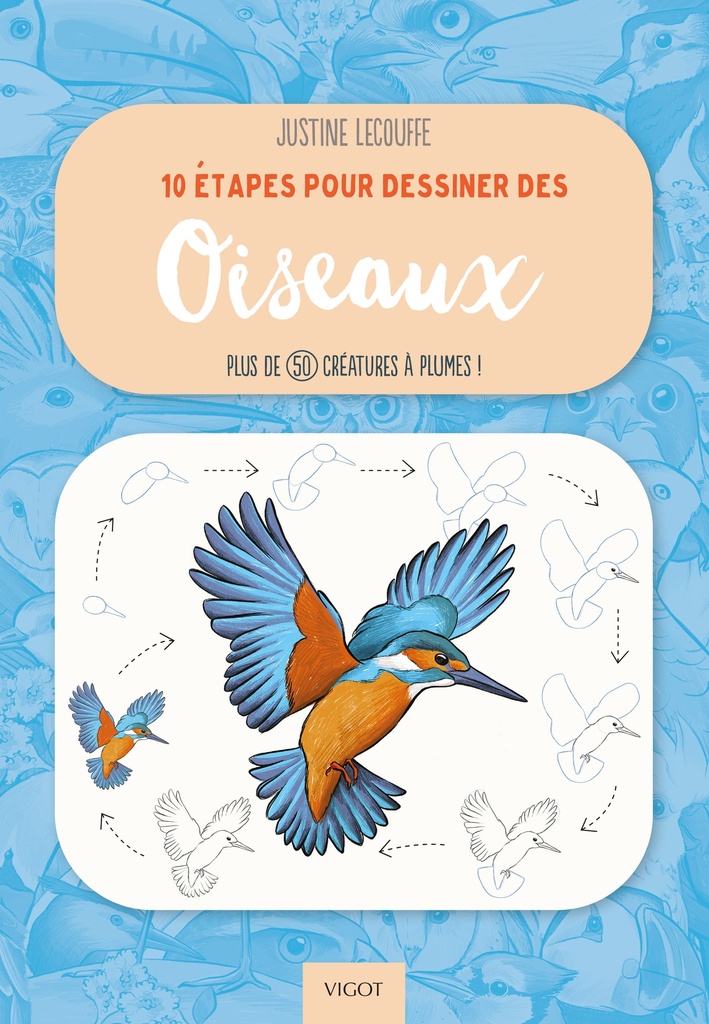 [9782711427703] 10 étapes pour dessiner des oiseaux