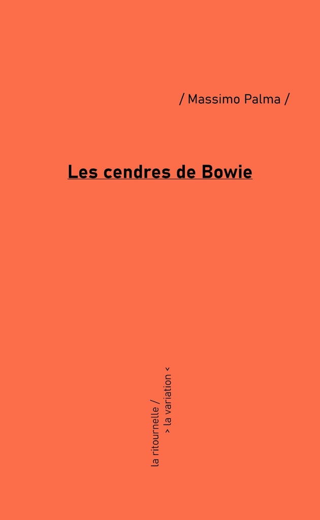 [9782383890522] LES CENDRES DE BOWIE