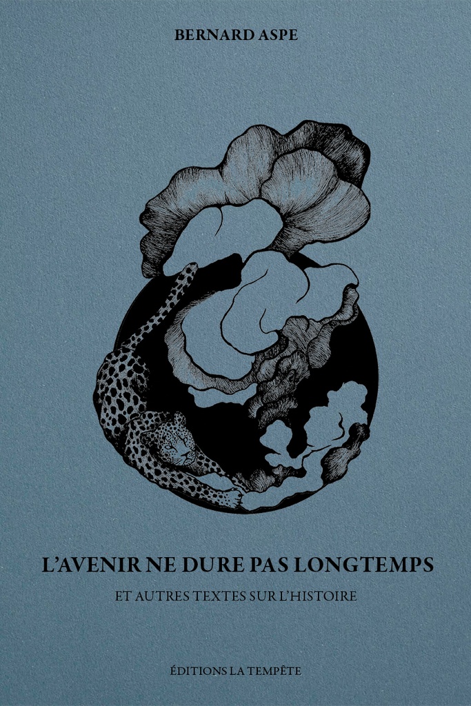 [9791094512449] L'AVENIR NE DURE PAS LONGTEMPS : ET AUTRES TEXTES SUR L'HISTOIRE