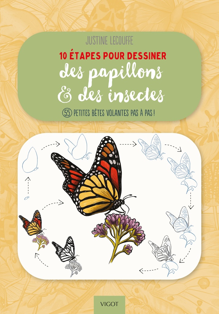 [9782711427697] 10 étapes pour dessiner des papillons et des insectes