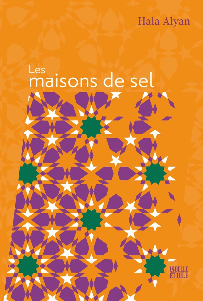 [9782501160797] Les Maisons de sel
