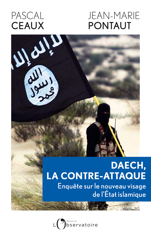 [9791032932735] Daech, la contre-attaque