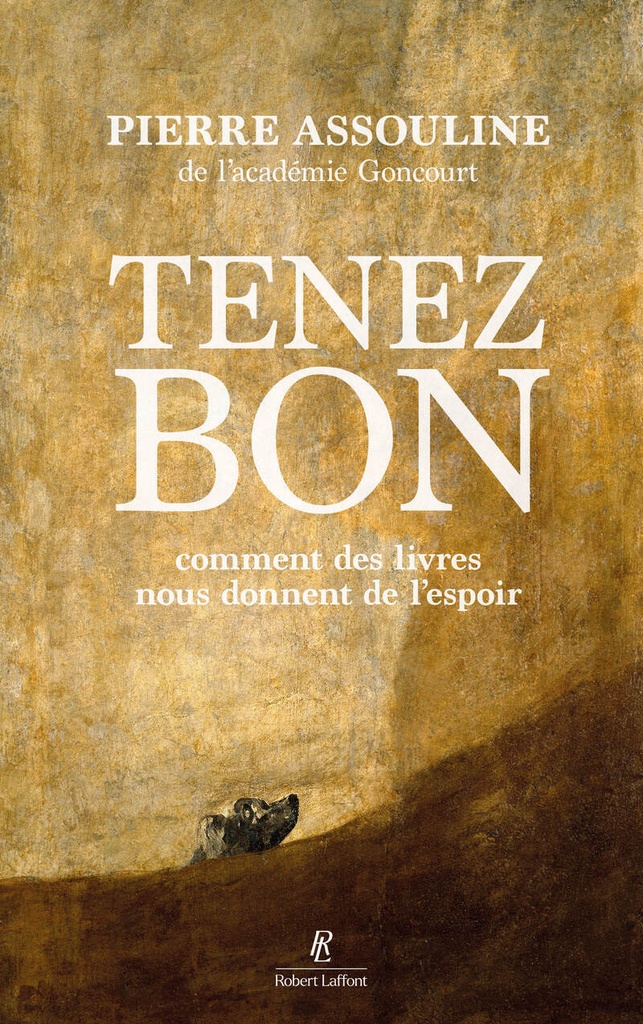 [9782221278277] Tenez bon - Comment des livres nous donnent de l'espoir