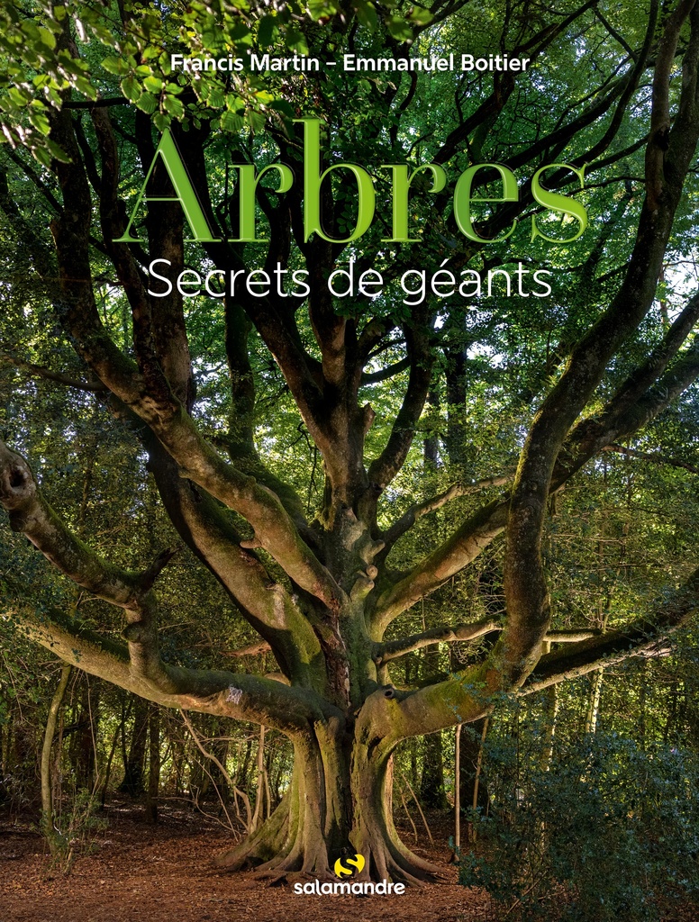 [9782889585939] Arbres, secrets de géants