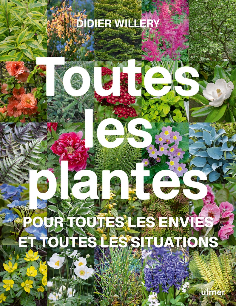 [9782379224805] Toutes les plantes - Pour toutes les envies et toutes les situations