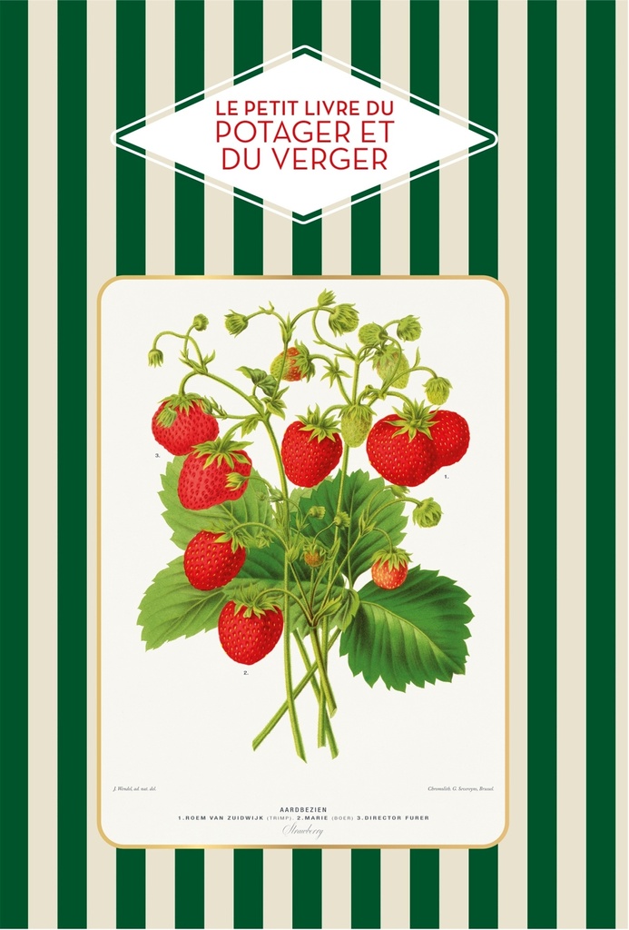 [9782017305286] Petit livre du potager et du verger