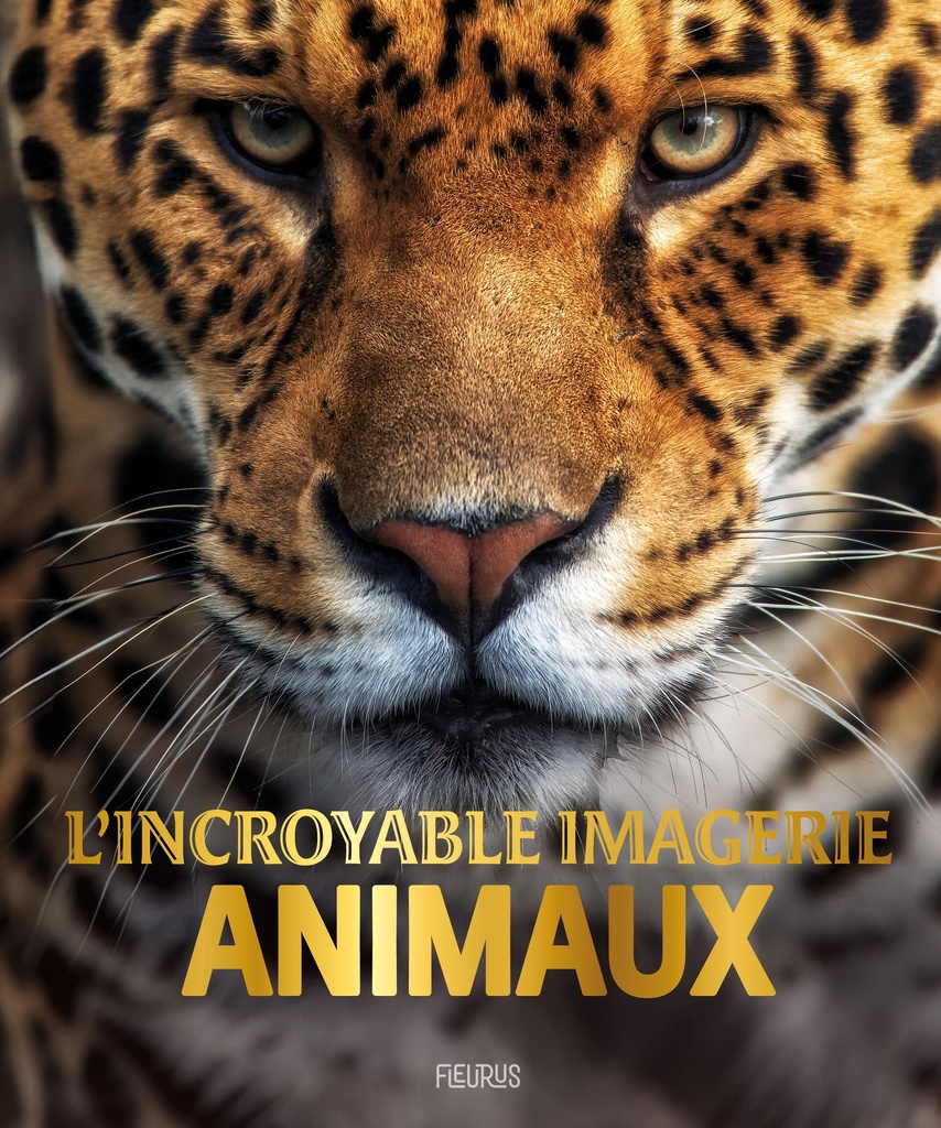 [9782215194477] L'incroyable Imagerie animaux