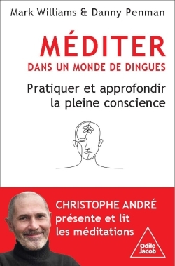 [9782415011291] Méditer dans un monde de dingues