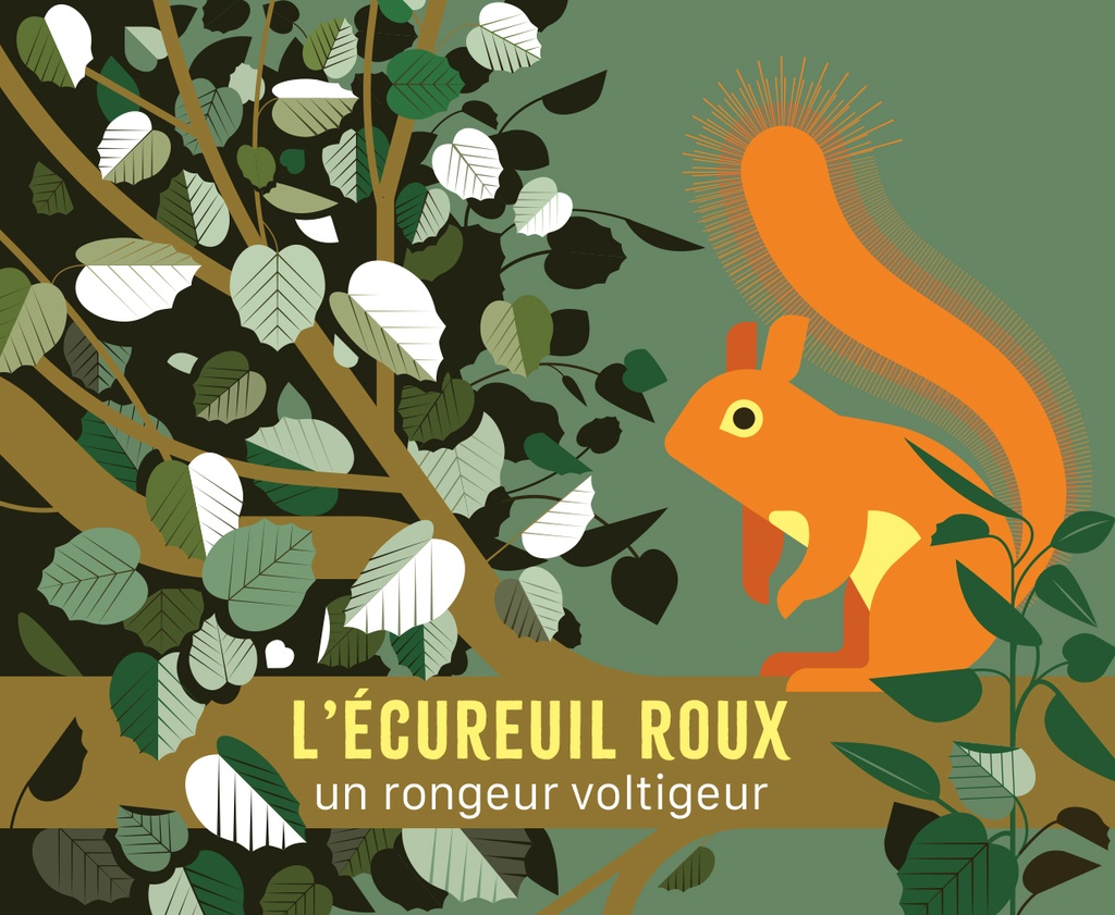 [9782368563779] L'écureuil roux